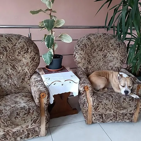 Centrum Jelenia Góra