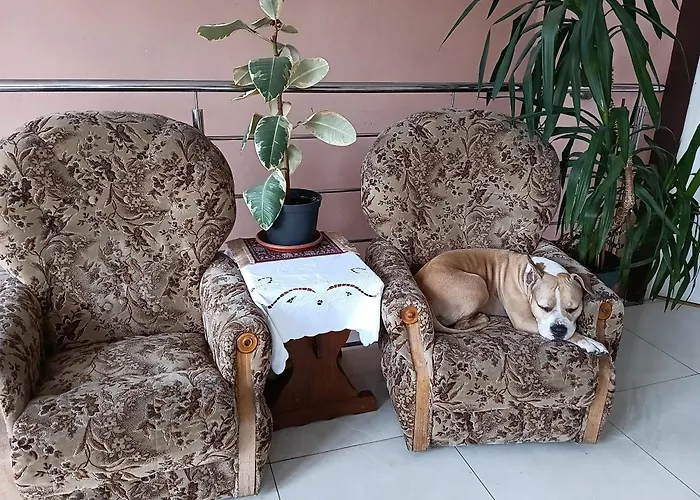 Centrum Jelenia Góra